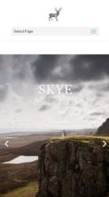 Skye For Divi (screenshot mobile)