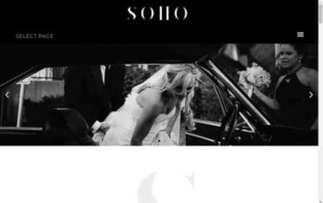 Screenshot Desktop Soho for Elementor (screenshot desktop)