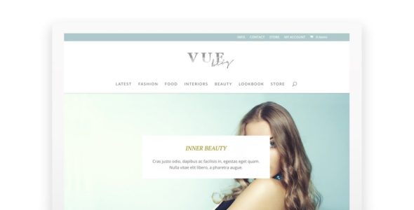 Vue for Divi (The Design Space.co)