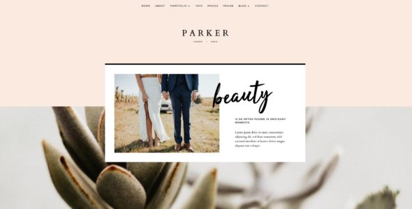 Parker for Divi (The Design Space.co)