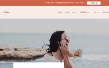 Stella for Divi (screenshot desktop)