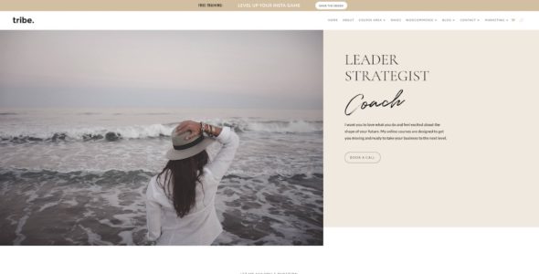 Tribe for Divi (The Design Space.co)