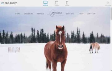 Questrian (screenshot desktop)