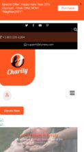 Charity Pro (The Magnifico) (screenshot mobile)