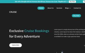 Holiday Travel Cruise Pro (screenshot desktop)