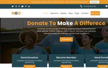 NGO Non Profit Pro (screenshot desktop)