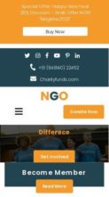 NGO Non Profit Pro (screenshot mobile)