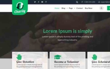 NGO Social Services Pro (screenshot desktop)