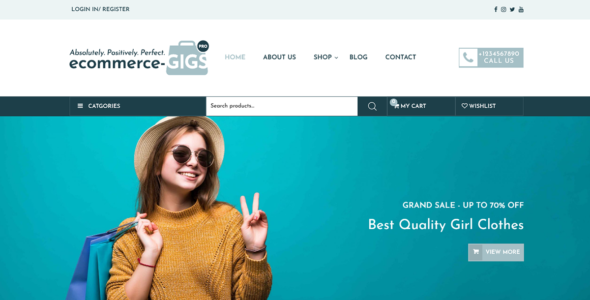 eCommerce Gigs Pro (Theme 404)