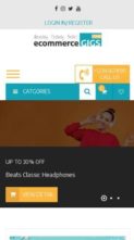 eCommerce Gigs (screenshot mobile)