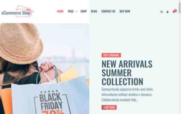 eCommerce Shop Pro (screenshot desktop)