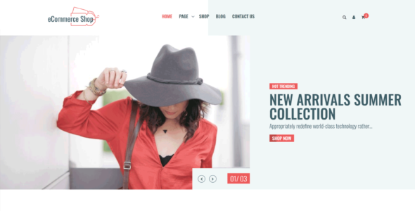 eCommerce Shop (Theme 404)