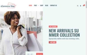 eCommerce Shop (screenshot desktop)