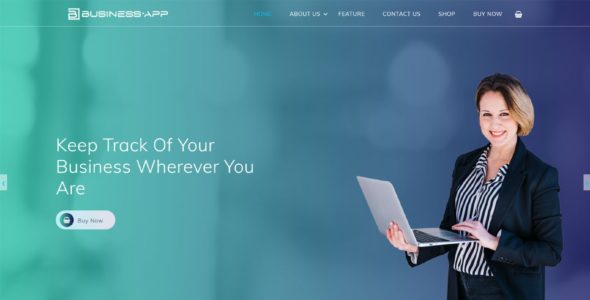 Web App Pro (Theme 404)