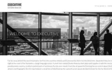 Executive Pro (Theme Index) (screenshot desktop)