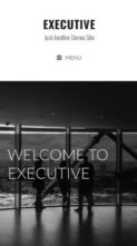 Executive Pro (Theme Index) (screenshot mobile)