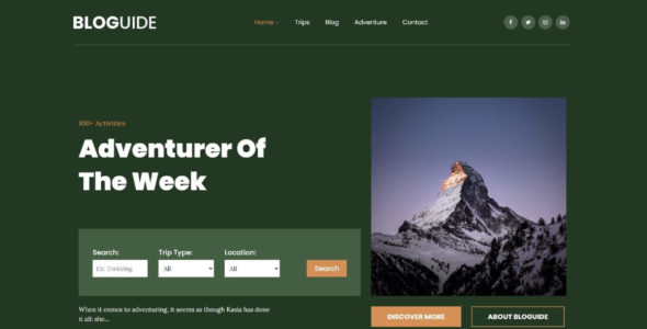 Bloguide Pro (Theme Palace)