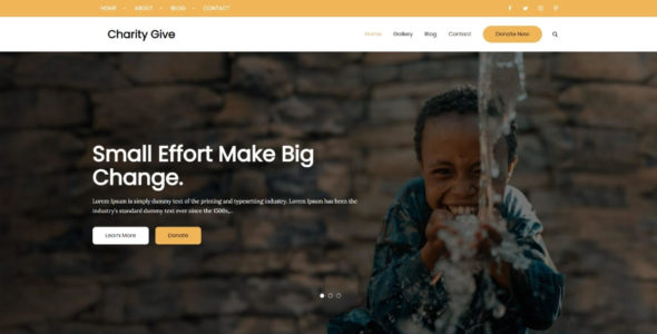 Charity Give Pro (Theme Palace)