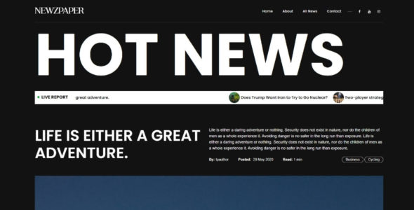 Newzpaper Pro (Theme Palace)