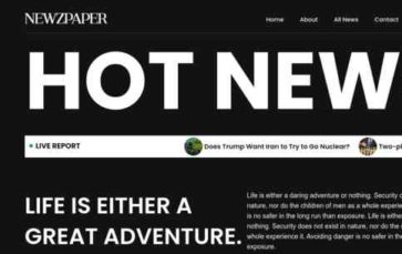Newzpaper Pro (screenshot desktop)