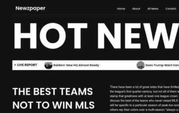 Newzpaper (screenshot desktop)