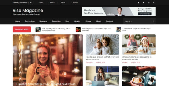 Rise Magazine Pro (Theme Palace)