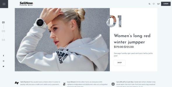 Sellnow Pro (Theme Palace)