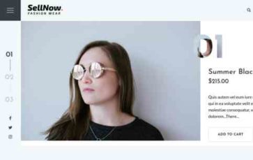 Sellnow (screenshot desktop)