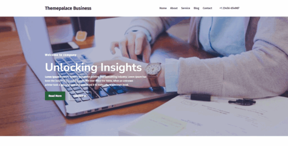 Themepalace Business Pro (Theme Palace)