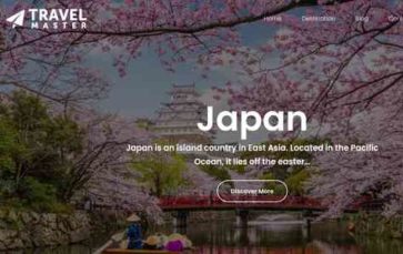 Travel Master FSE (screenshot desktop)