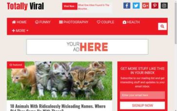 Totally Viral (screenshot desktop)