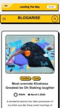 BlogArise (screenshot mobile)
