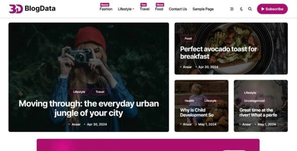 BlogData (Themeansar)