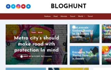 Bloghunt (screenshot desktop)