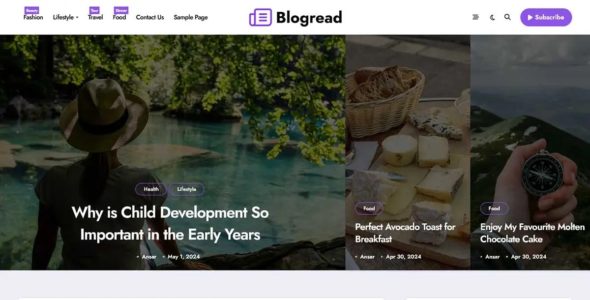 BlogRead (Themeansar)