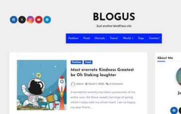 Blogus (Themeansar) (screenshot desktop)