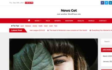 News Get (screenshot desktop)