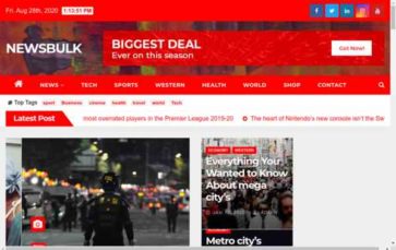 Newsbulk (screenshot desktop)