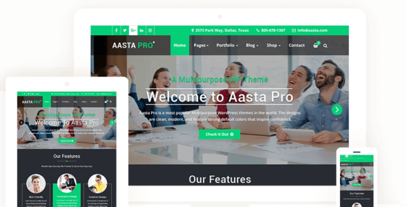 Aasta Pro (ThemeArile)