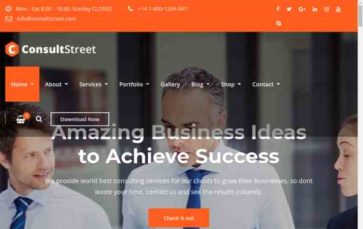 Screenshot Desktop ConsultStreet Pro (screenshot desktop)