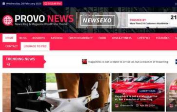 Provo News (screenshot desktop)