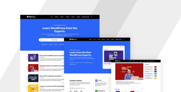 FlexBlog (theme.co.id)
