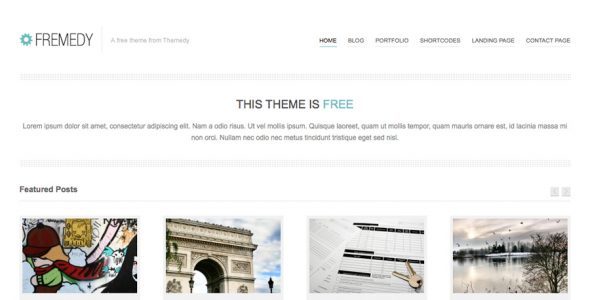 Fremedy (Themedy)