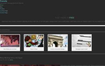 Fremedy (screenshot desktop)