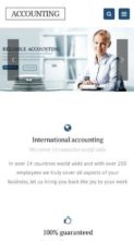 Accounting (AnpsThemes) (screenshot mobile)