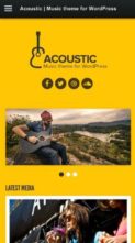 Acoustic (CSSIgniter) (screenshot mobile)