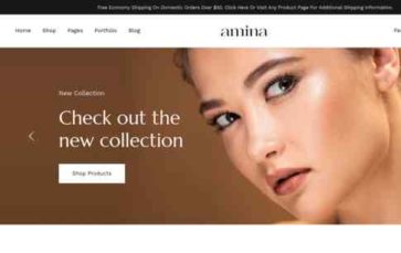 Amina (screenshot desktop)