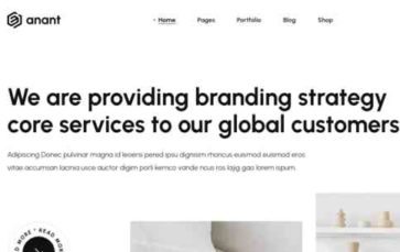 Anant (screenshot desktop)