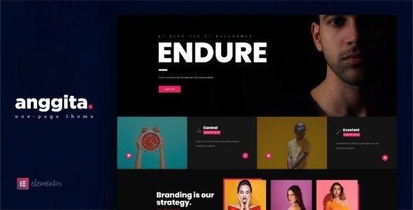 Anggita (ThemeForest)