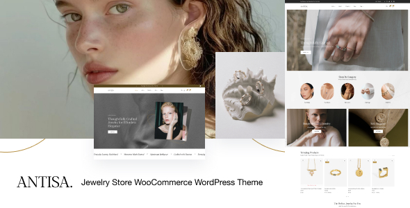 Antisa (ThemeForest)